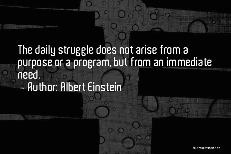 Interviu In Limba Quotes By Albert Einstein