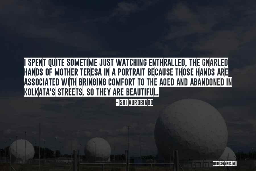 Interwar Aircraft Quotes By Sri Aurobindo Interwar Aircraft Quotes By Sri Aurobindo