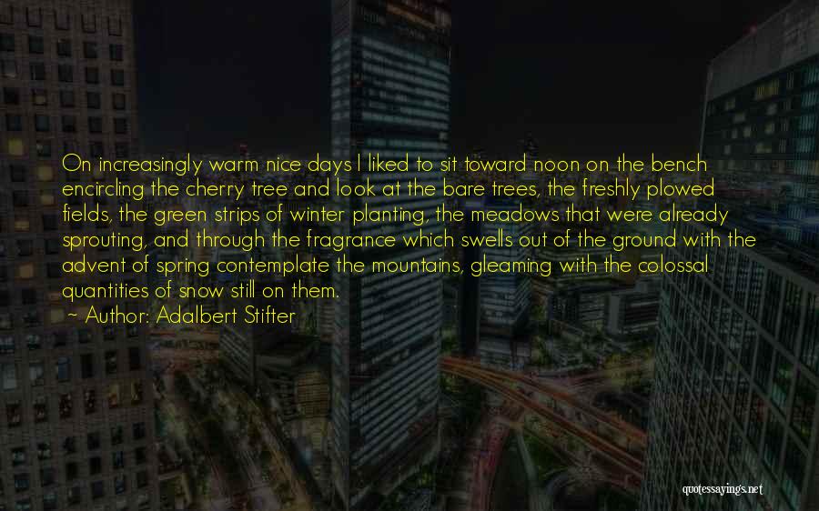 Interweaveshop Quotes By Adalbert Stifter