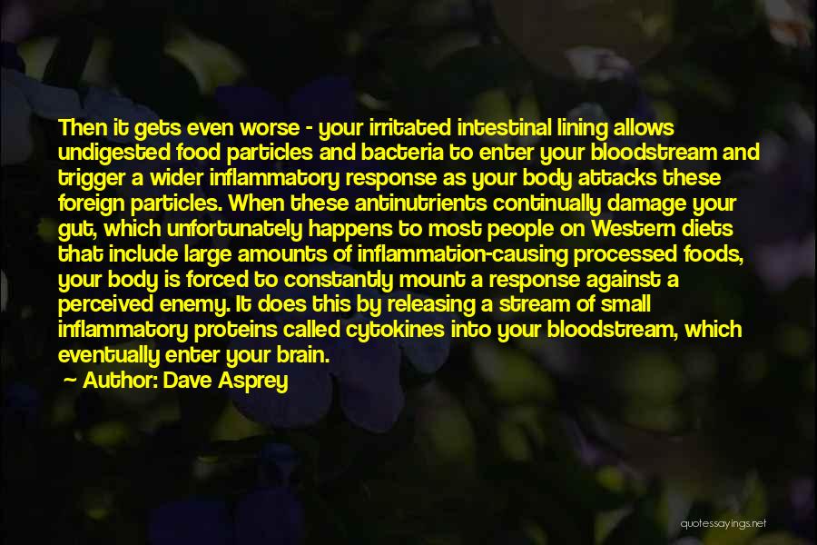 Intestinal Quotes By Dave Asprey