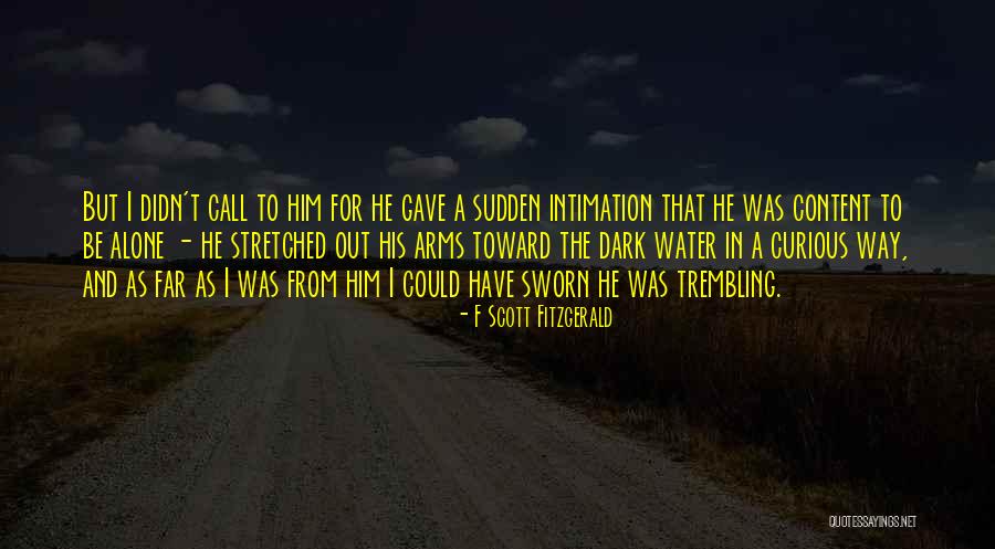 Intimation Quotes By F Scott Fitzgerald Intimation Quotes By F Scott Fitzgerald