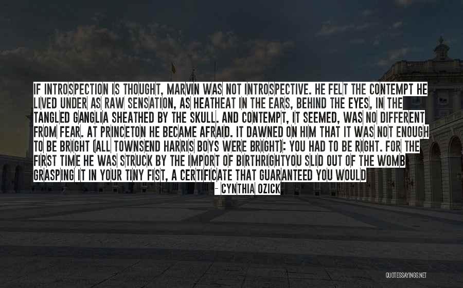 Intimidate Quotes By Cynthia Ozick Intimidate Quotes By Cynthia Ozick