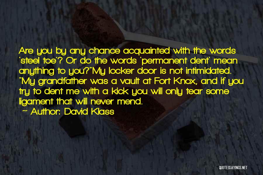 Intimidated By Me Quotes By David Klass