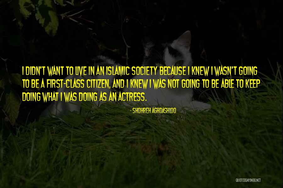 Intimidationidation Quotes By Shohreh Aghdashloo Intimidationidation Quotes By Shohreh Aghdashloo