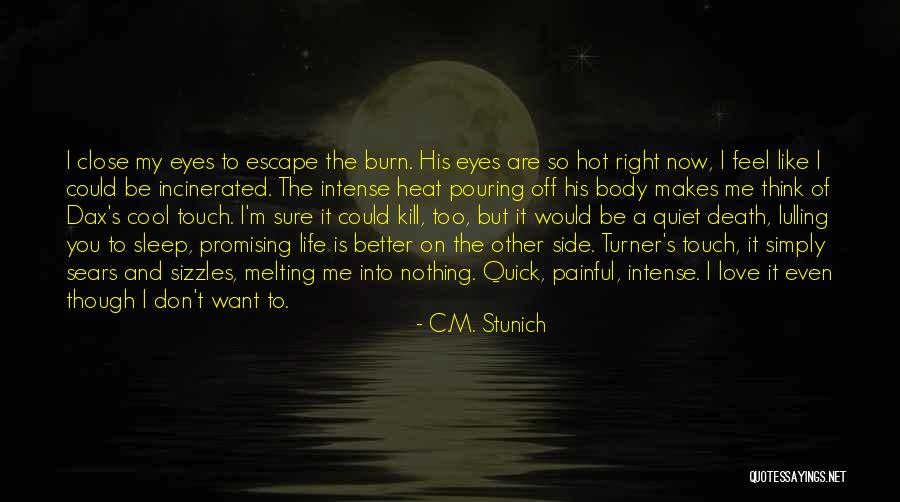 Into My Eyes Quotes By C.M. Stunich