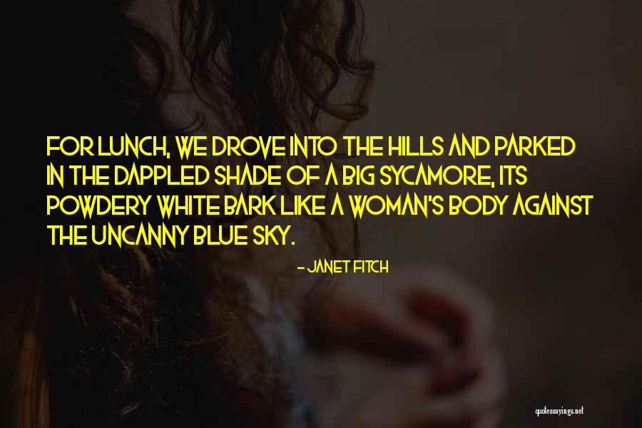 Into The Blue Sky Quotes By Janet Fitch Into The Blue Sky Quotes By Janet Fitch