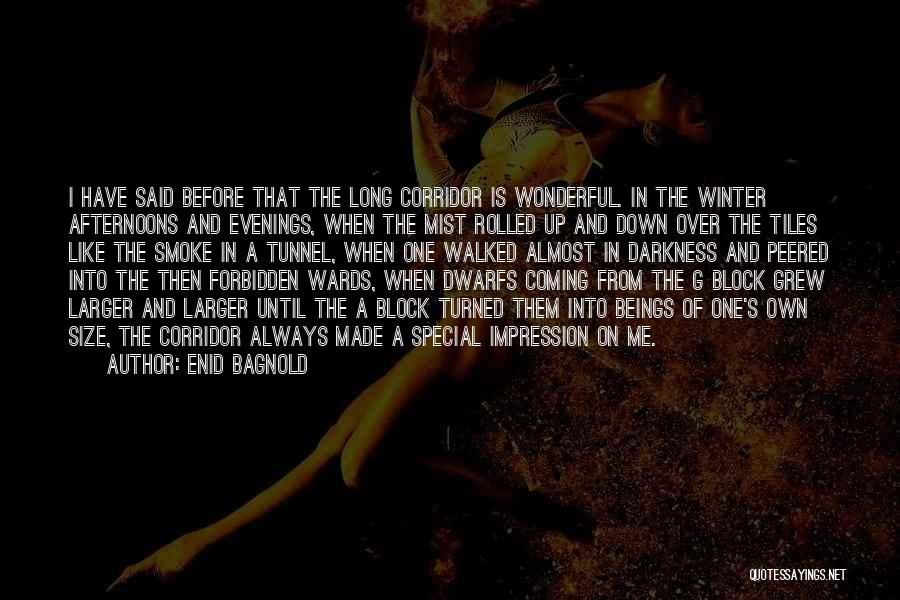 Into The Darkness Quotes By Enid Bagnold