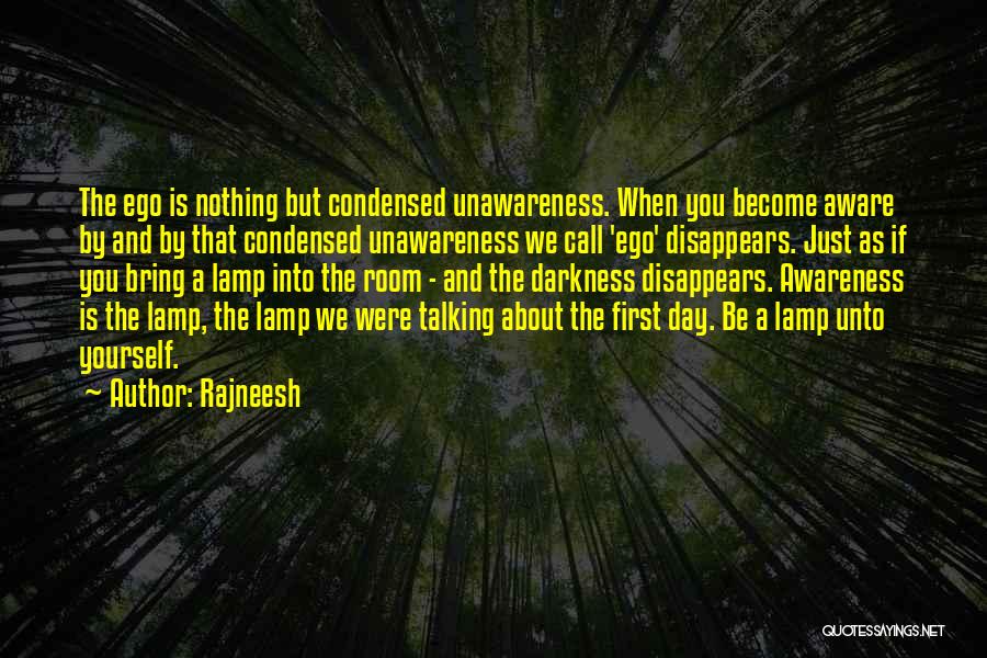 Into The Darkness Quotes By Rajneesh