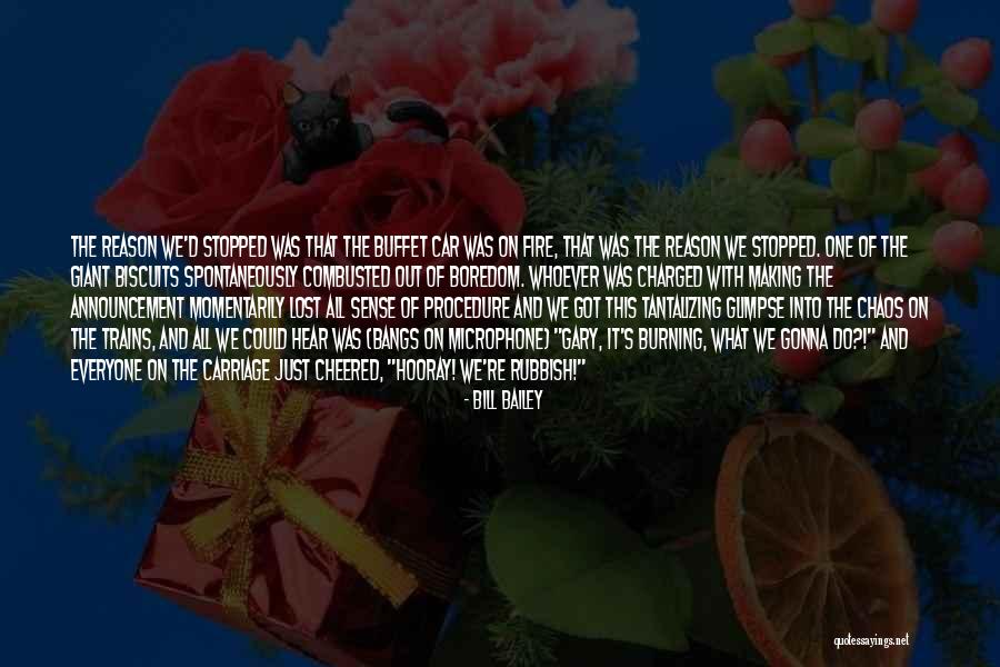 Into The Fire Quotes By Bill Bailey Into The Fire Quotes By Bill Bailey
