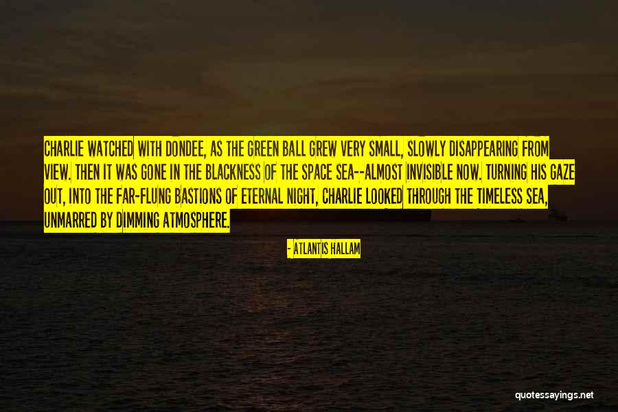 Into The Night Quotes By Atlantis Hallam