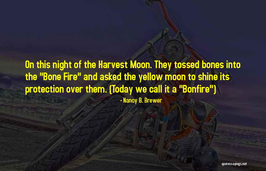 Into The Night Quotes By Nancy B. Brewer