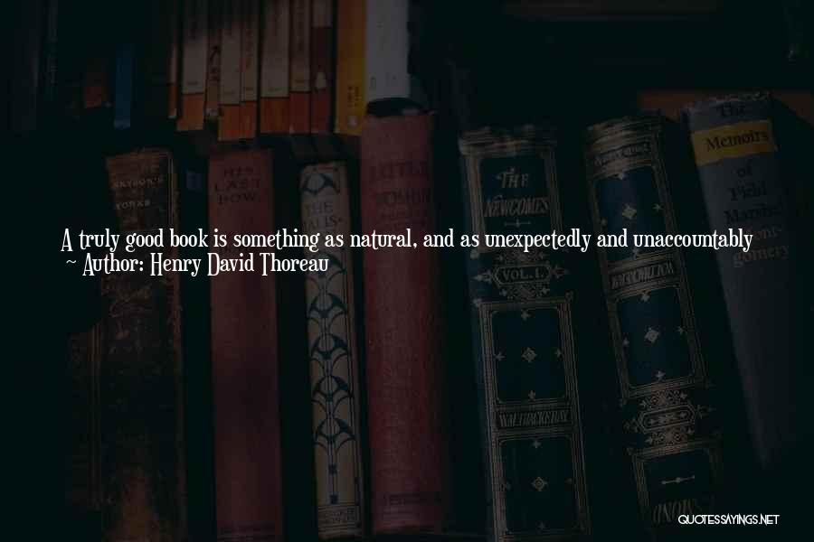 Into The Wild Books Quotes By Henry David Thoreau