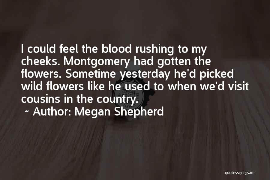 Into The Wild Books Quotes By Megan Shepherd