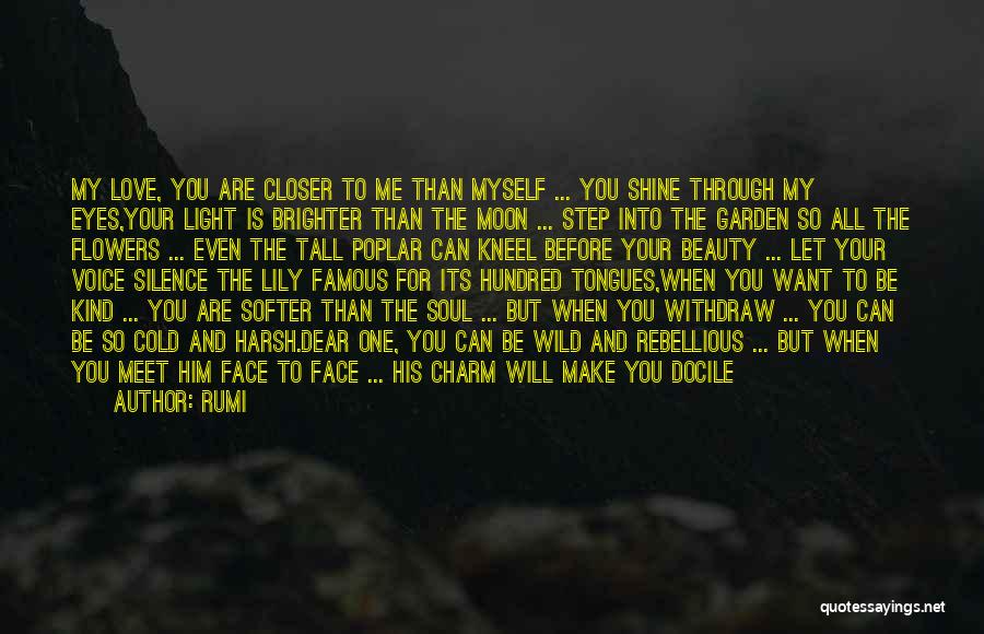 Into The Wild Quotes By Rumi