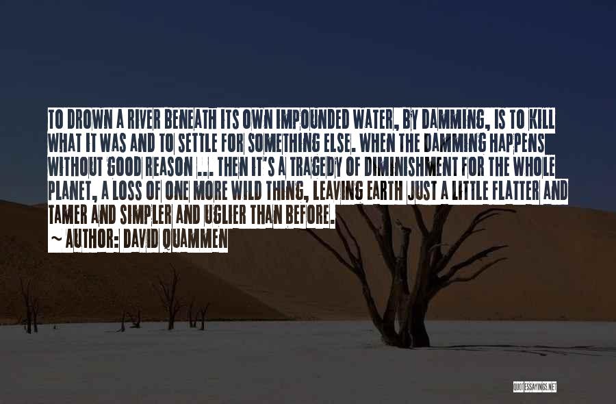 Into The Wild River Quotes By David Quammen