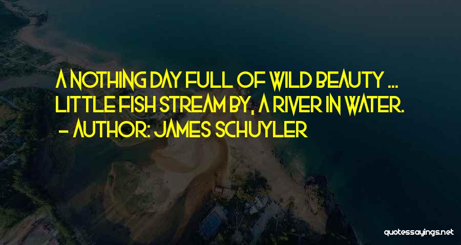 Into The Wild River Quotes By James Schuyler