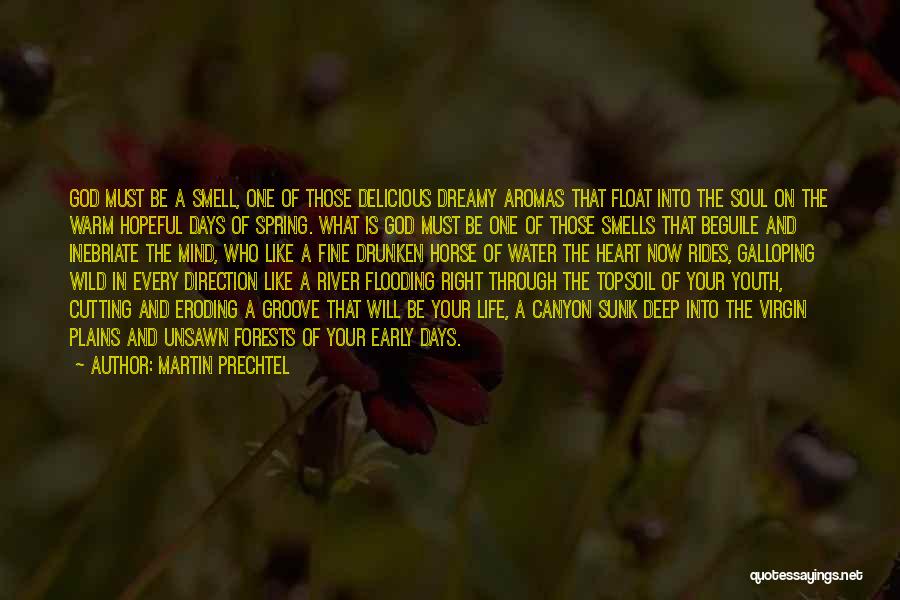 Into The Wild River Quotes By Martin Prechtel