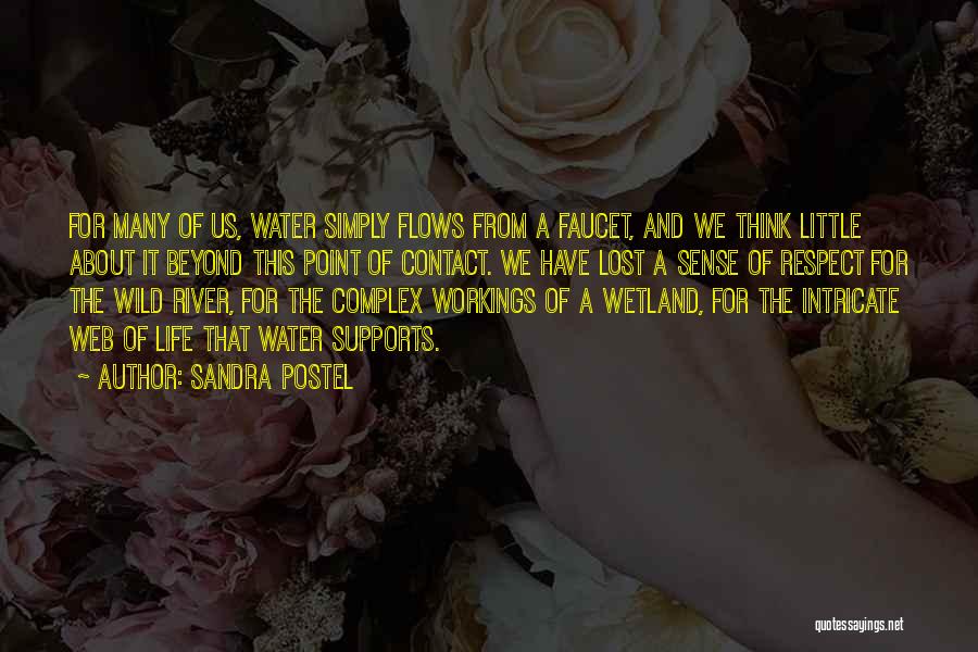 Into The Wild River Quotes By Sandra Postel