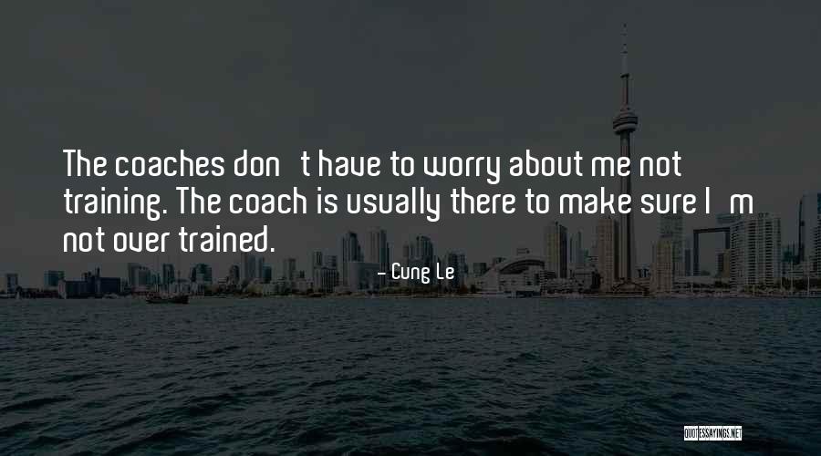 Into The Wild Romanticism Quotes By Cung Le Into The Wild Romanticism Quotes By Cung Le