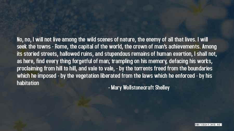 Into The Wild Romanticism Quotes By Mary Wollstonecraft Shelley Into The Wild Romanticism Quotes By Mary Wollstonecraft Shelley