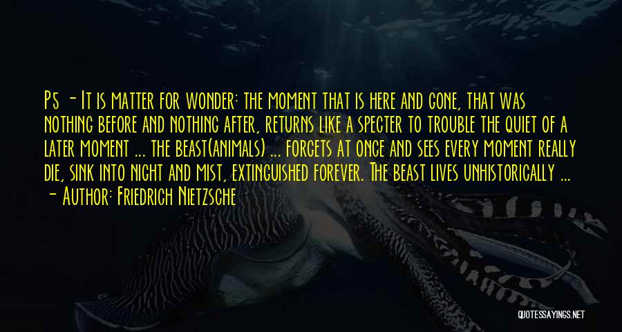 Into The Wonder Quotes By Friedrich Nietzsche