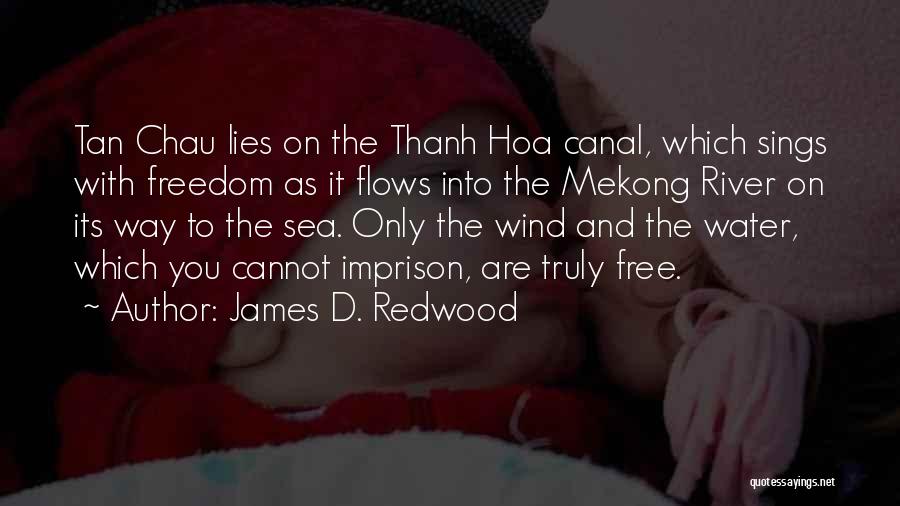 Into The Wood Quotes By James D. Redwood