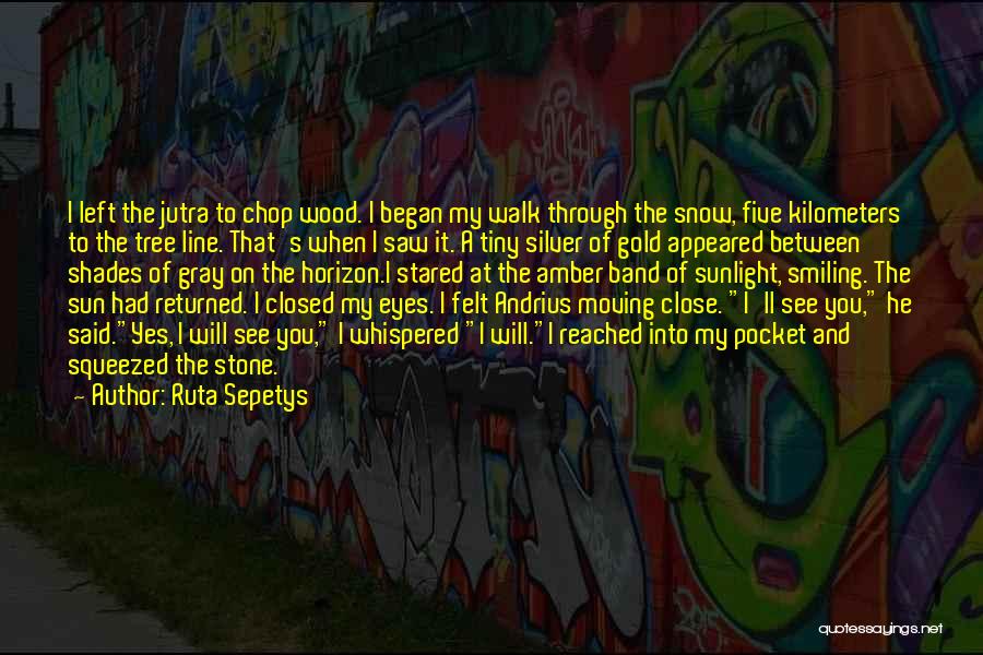 Into The Wood Quotes By Ruta Sepetys