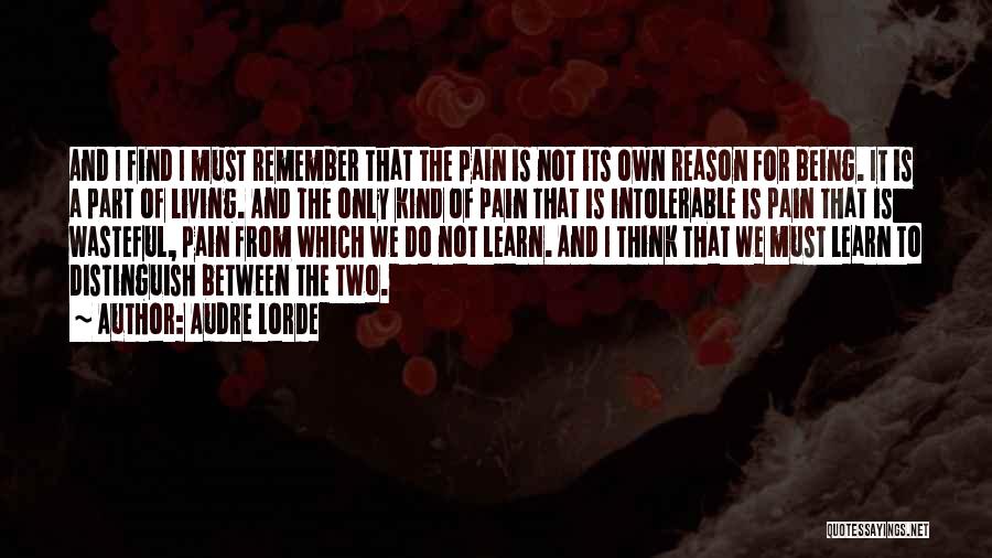 Intolerable Pain Quotes By Audre Lorde