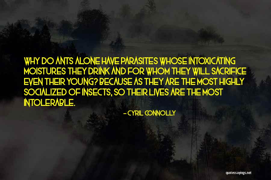 Intolerable Quotes By Cyril Connolly Intolerable Quotes By Cyril Connolly