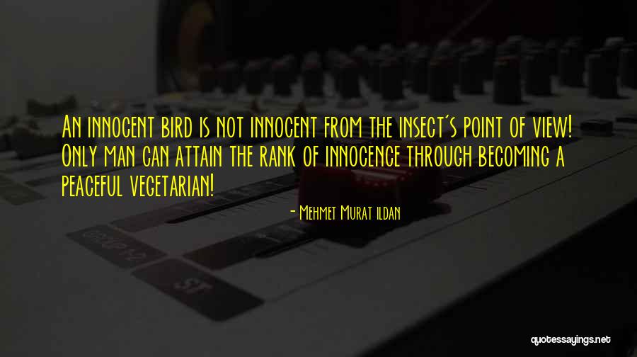 Intolerance And Immigration Quotes By Mehmet Murat Ildan Intolerance And Immigration Quotes By Mehmet Murat Ildan