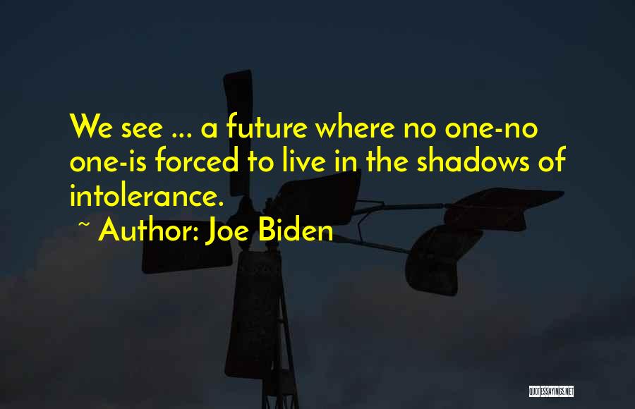 Intolerance Quotes By Joe Biden