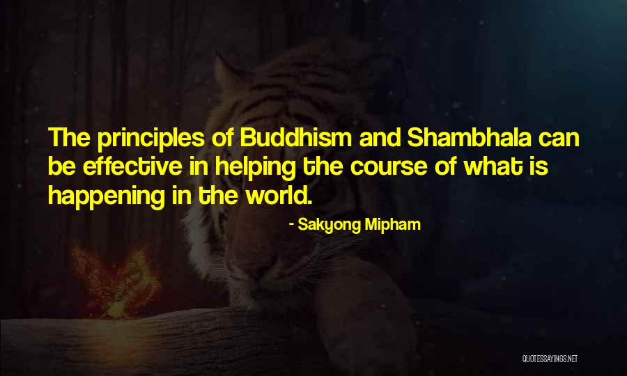 Intolerancia Significado Quotes By Sakyong Mipham Intolerancia Significado Quotes By Sakyong Mipham