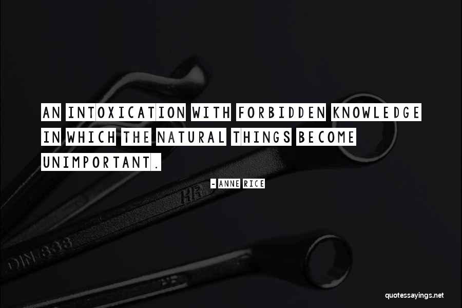Intoxication Quotes By Anne Rice Intoxication Quotes By Anne Rice