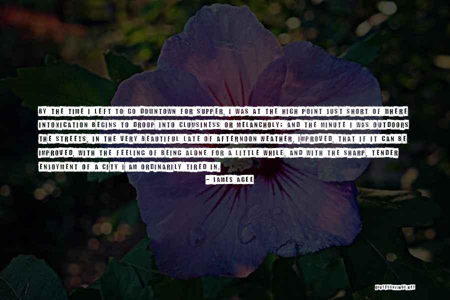 Intoxication Quotes By James Agee Intoxication Quotes By James Agee