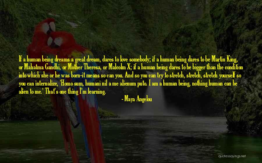 Intractable Migraine Quotes By Maya Angelou Intractable Migraine Quotes By Maya Angelou