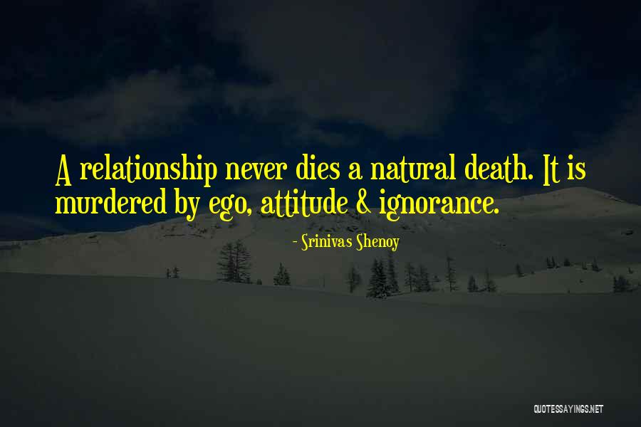 Intrapreneurs Quotes By Srinivas Shenoy Intrapreneurs Quotes By Srinivas Shenoy