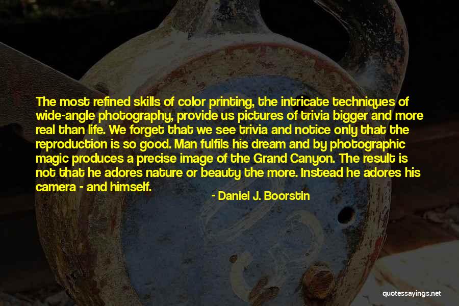 Intricate Beauty Quotes By Daniel J. Boorstin Intricate Beauty Quotes By Daniel J. Boorstin
