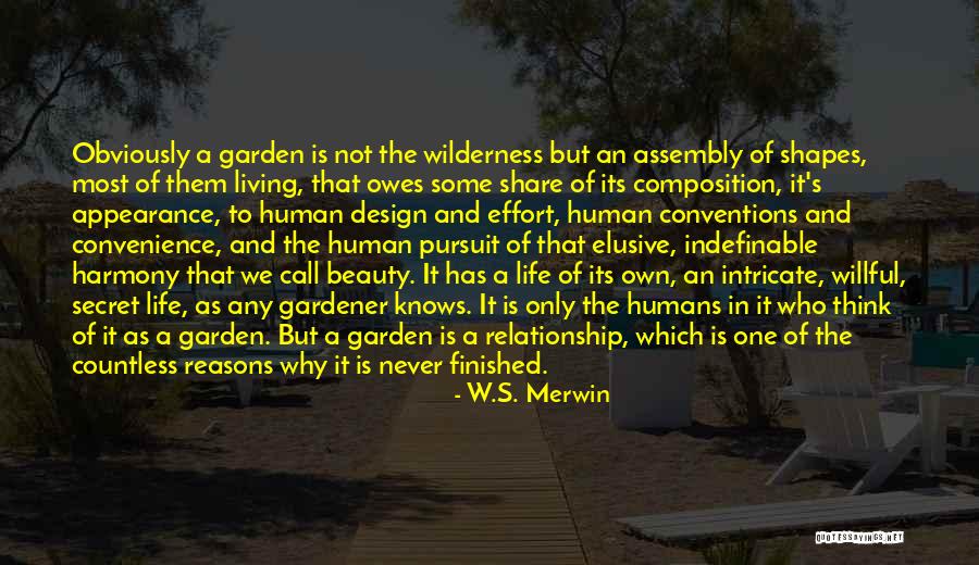 Intricate Beauty Quotes By W.S. Merwin Intricate Beauty Quotes By W.S. Merwin
