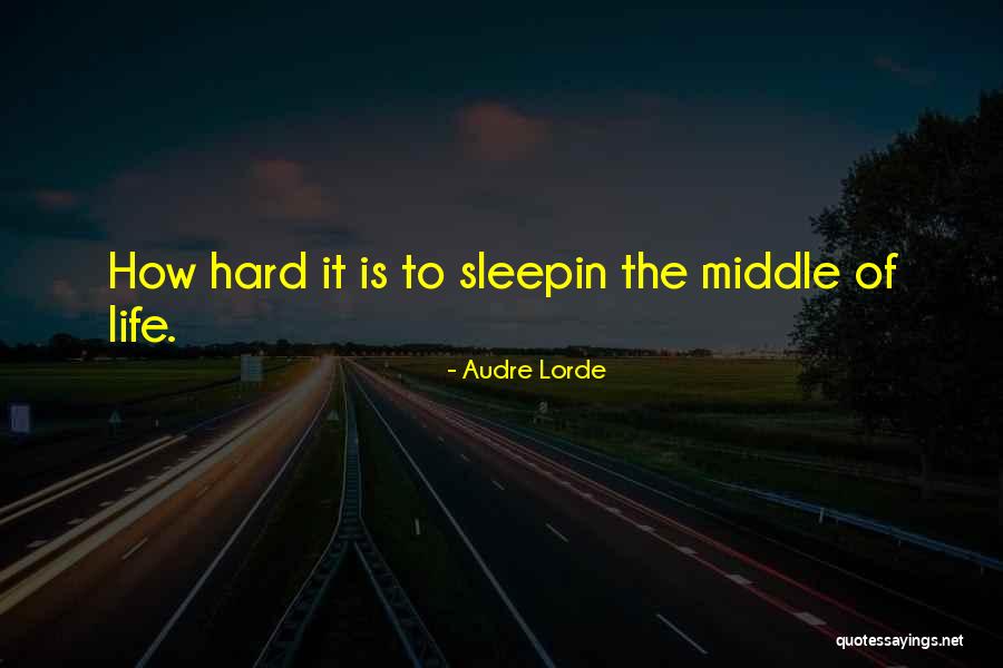 Intrigado Sinonimo Quotes By Audre Lorde Intrigado Sinonimo Quotes By Audre Lorde