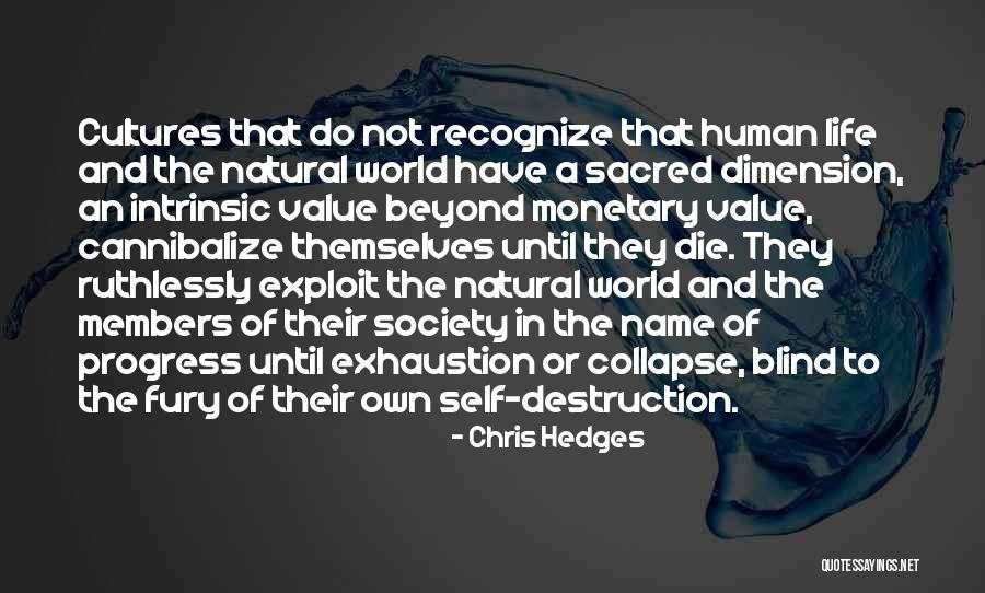 Intrinsic Value Quotes By Chris Hedges