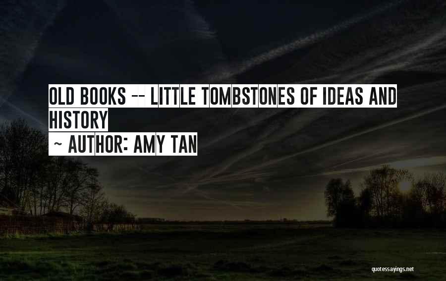 Intro Quotes By Amy Tan