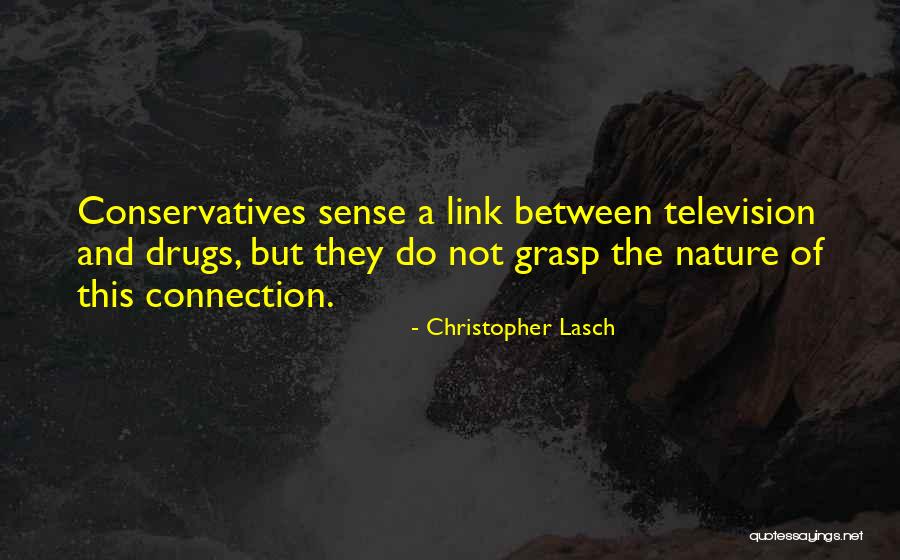 Introduce In Spanish Quotes By Christopher Lasch Introduce In Spanish Quotes By Christopher Lasch