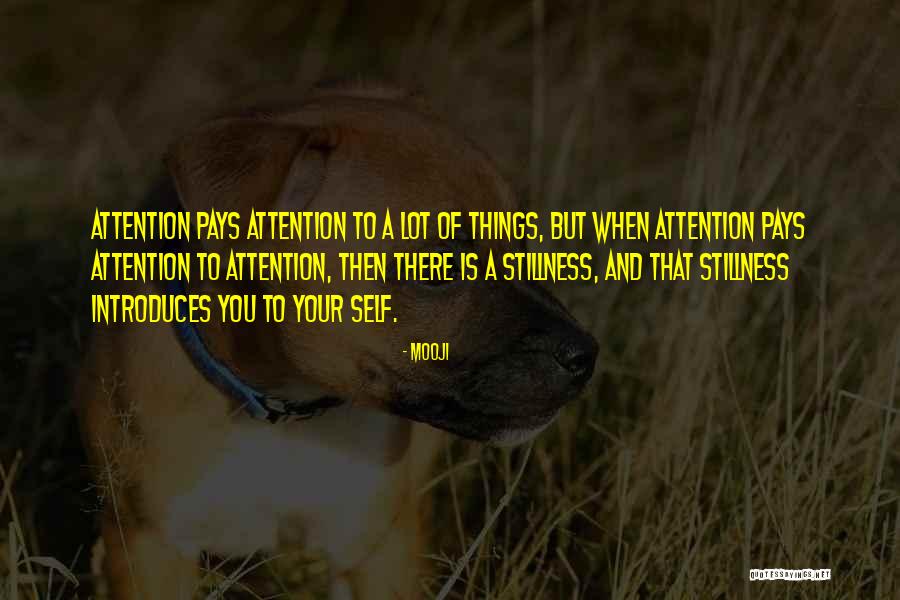 Introduces Himself Quotes By Mooji Introduces Himself Quotes By Mooji