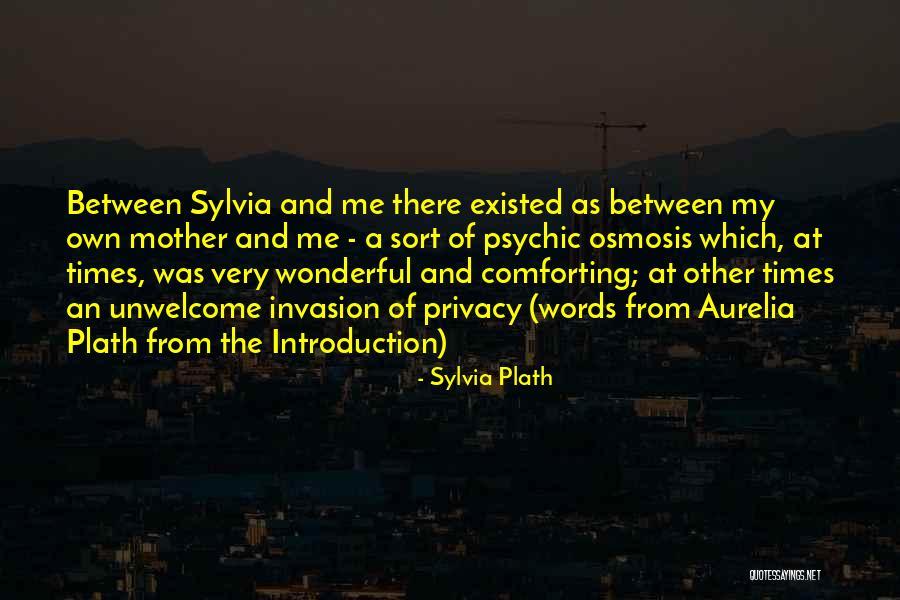 Introduction Quotes By Sylvia Plath