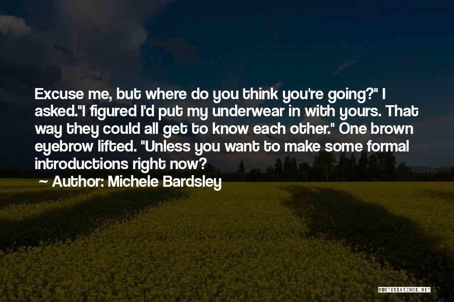 Introductions Quotes By Michele Bardsley