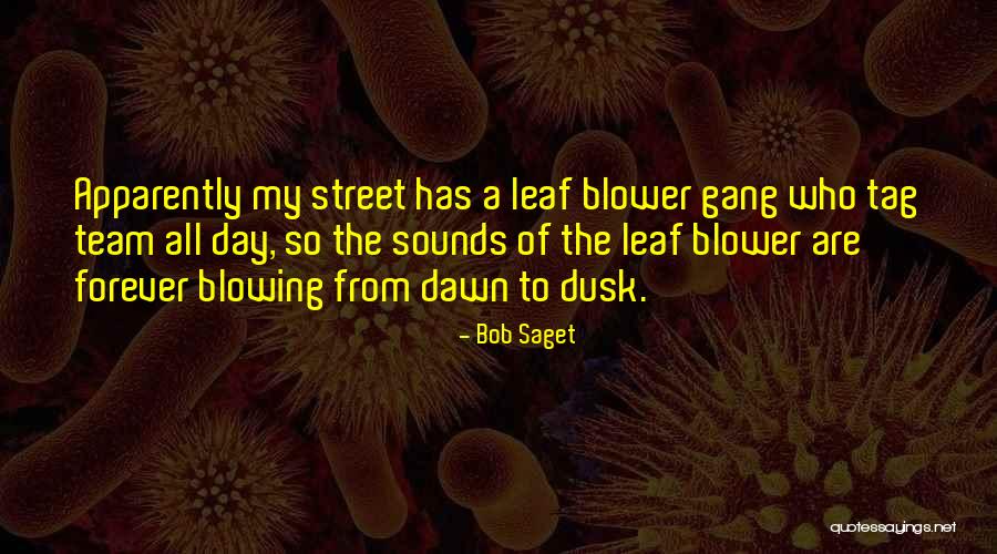 Introspectie Quotes By Bob Saget Introspectie Quotes By Bob Saget