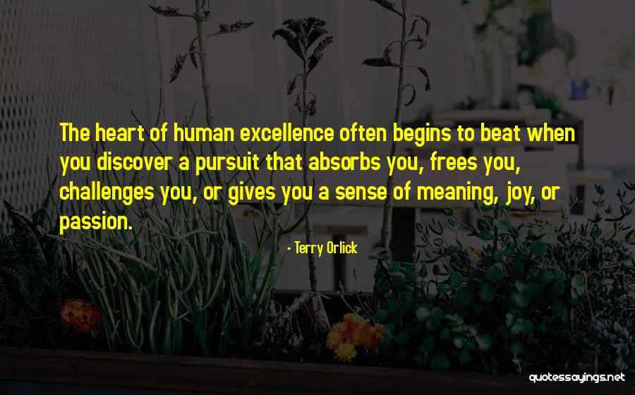Introspectie Quotes By Terry Orlick Introspectie Quotes By Terry Orlick