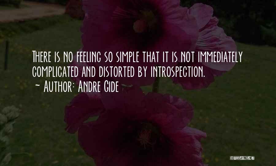 Introspection Quotes By Andre Gide