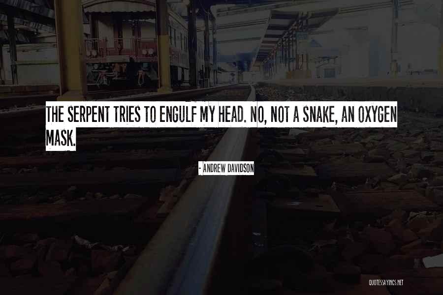 Introspective Literature Quotes By Andrew Davidson Introspective Literature Quotes By Andrew Davidson