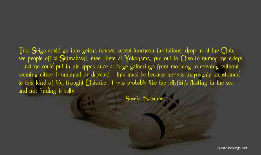 Introversion And Extroversion Quotes By Soseki Natsume
